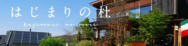 はじまりの杜
