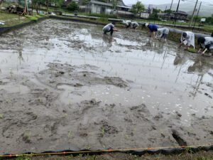 0D70E56B-9565-4428-8951-8C9F5C9BD561_0