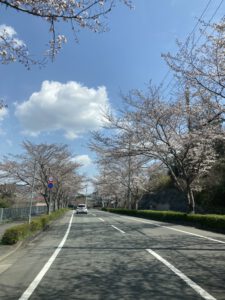 桜　　の事ばかり