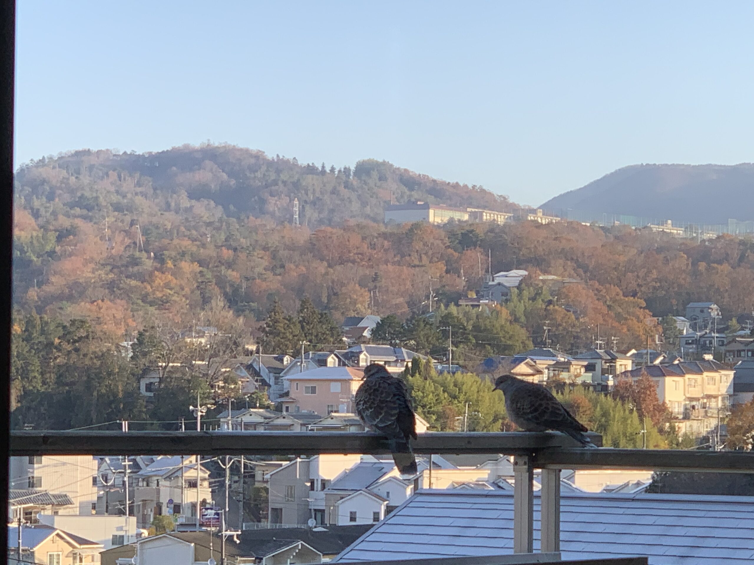 「暮らす」暮らしと、「過ごす」暮らしの見学会＠川西市