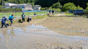 坂井建築事務所からのお知らせ